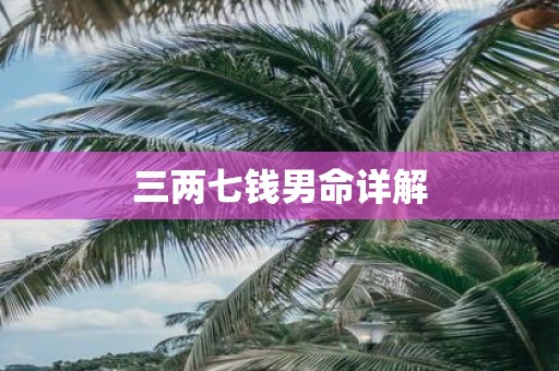三两七钱男命详解