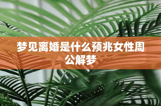 梦见离婚是什么预兆女性周公解梦