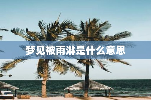 梦见被雨淋是什么意思