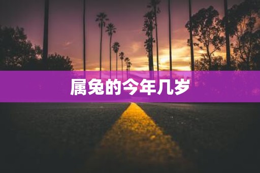 属兔的今年几岁