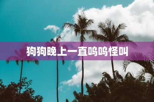 狗狗晚上一直呜呜怪叫
