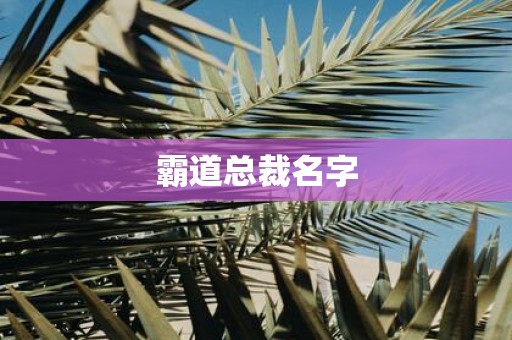 霸道总裁名字