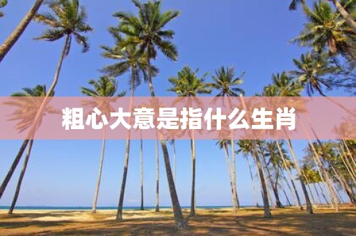 粗心大意是指什么生肖