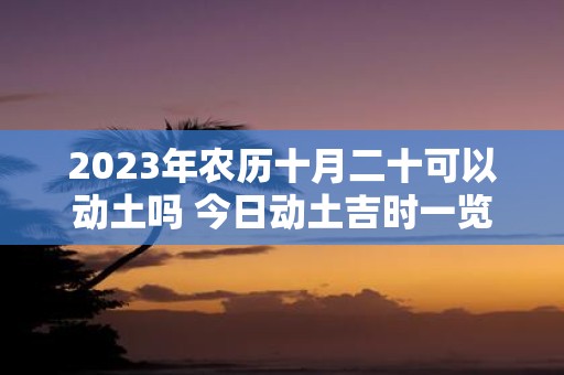 2025年农历十月二十可以动土吗 今日动土吉时一览