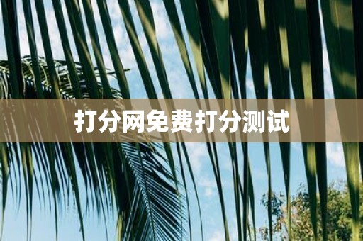 打分网免费打分测试