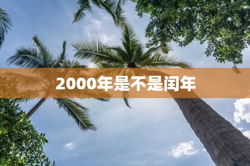 2000年是不是闰年