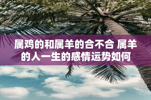 属鸡的和属羊的合不合 属羊的人一生的感情运势如何