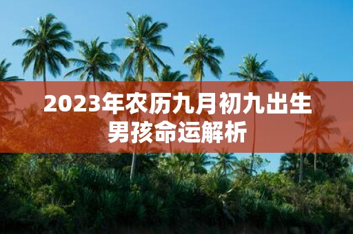 2025年农历九月初九出生男孩命运解析