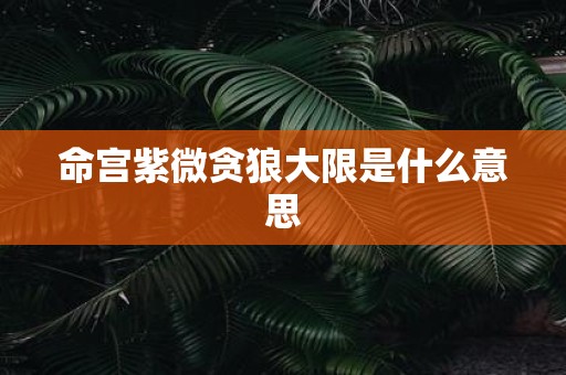 命宫紫微贪狼大限是什么意思