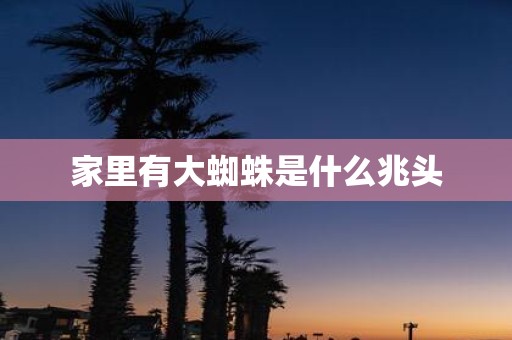 家里有大蜘蛛是什么兆头