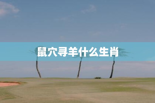 鼠穴寻羊什么生肖