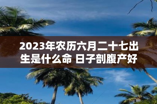 2025年农历六月二十七出生是什么命 日子剖腹产好吗