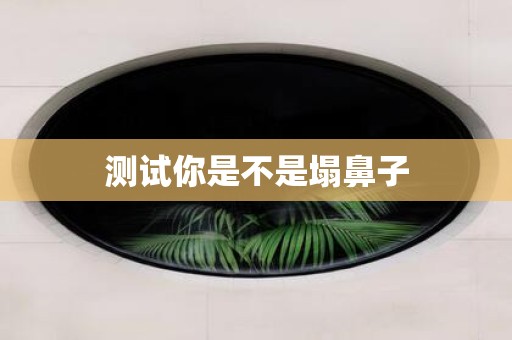 测试你是不是塌鼻子