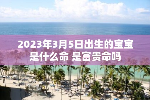2025年3月5日出生的宝宝是什么命 是富贵命吗