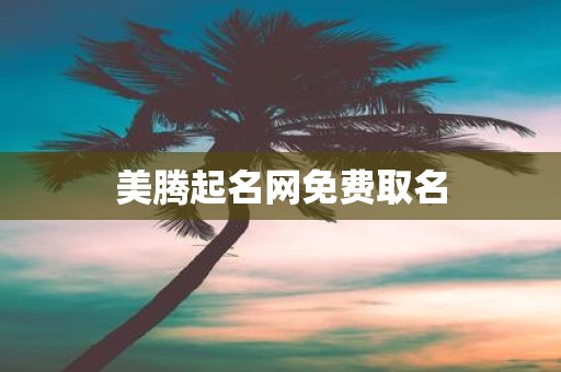 美腾起名网免费取名