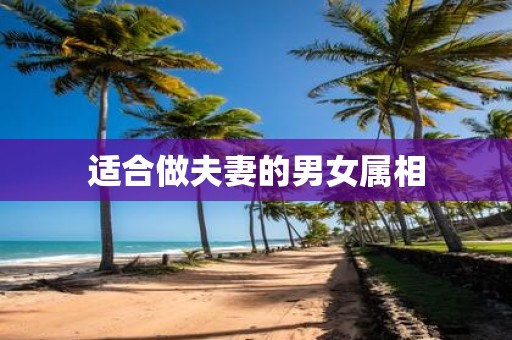 适合做夫妻的男女属相