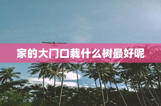 家的大门口栽什么树最好呢