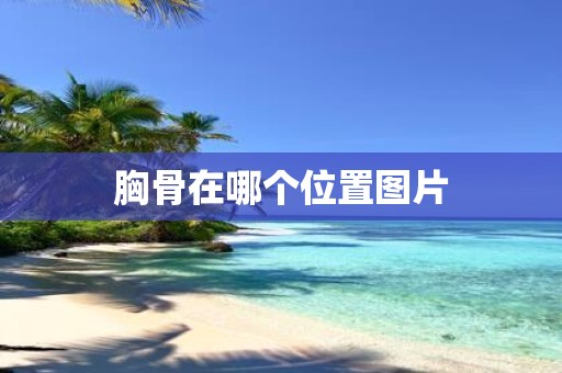 胸骨在哪个位置图片