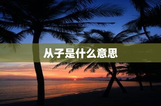 从子是什么意思