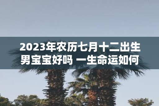 2025年农历七月十二出生男宝宝好吗 一生命运如何