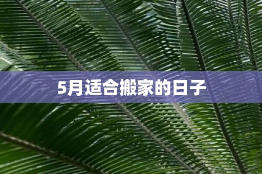 5月适合搬家的日子