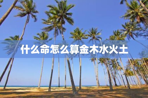什么命怎么算金木水火土