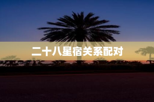 二十八星宿关系配对