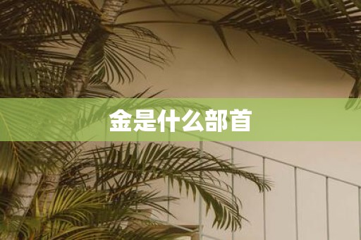 金是什么部首