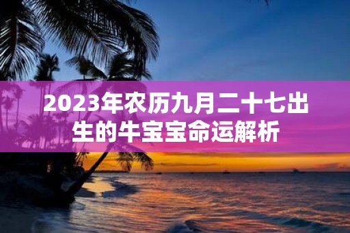 2025年农历九月二十七出生的牛宝宝命运解析