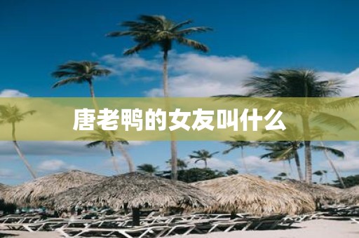 唐老鸭的女友叫什么