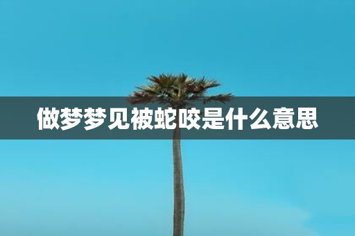 做梦梦见被蛇咬是什么意思