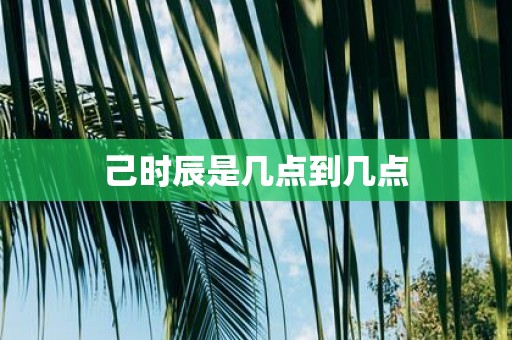 己时辰是几点到几点