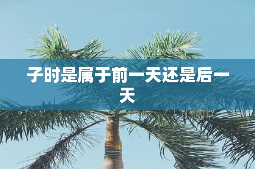 子时是属于前一天还是后一天