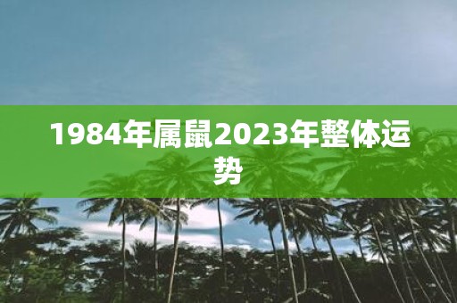 1984年属鼠2025年整体运势