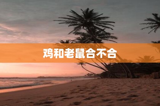 鸡和老鼠合不合