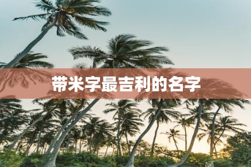 带米字最吉利的名字