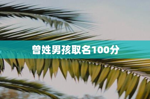 曾姓男孩取名100分 曾姓男孩取名100分