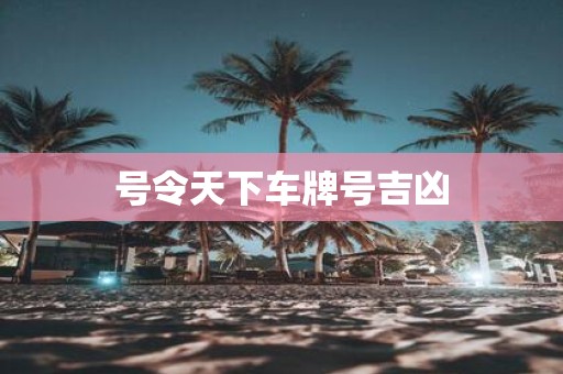 号令天下车牌号吉凶