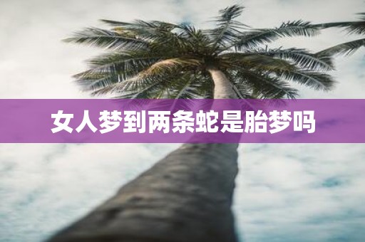 女人梦到两条蛇是胎梦吗