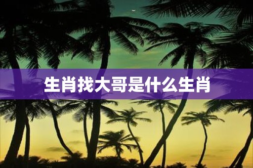 生肖找大哥是什么生肖