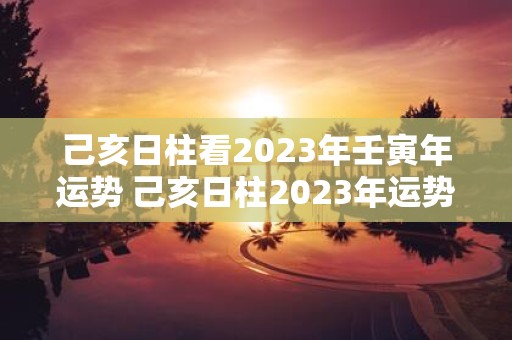 己亥日柱看2025年壬寅年运势 己亥日柱2025年运势好吗