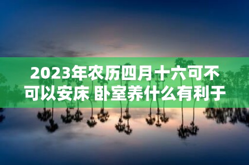 2025年农历四月十六可不可以安床 卧室养什么有利于睡眠