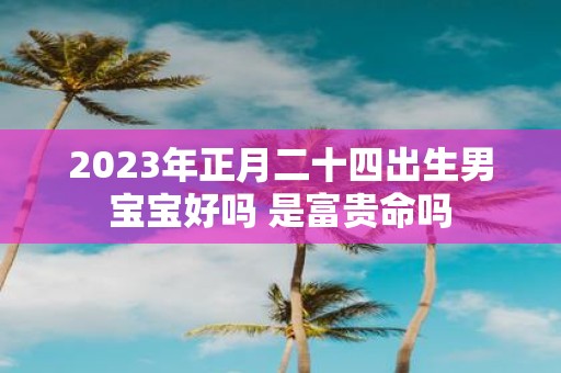 2025年正月二十四出生男宝宝好吗 是富贵命吗