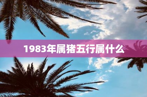 1983年属猪五行属什么