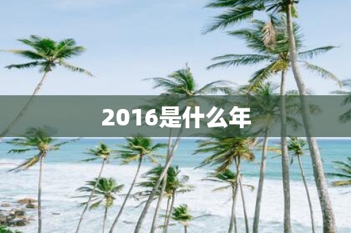 2016是什么年