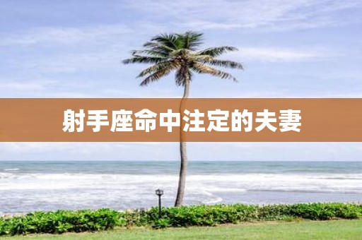射手座命中注定的夫妻
