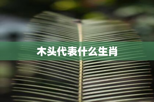 木头代表什么生肖