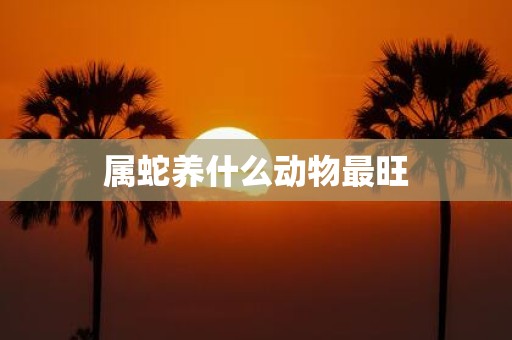 属蛇养什么动物最旺