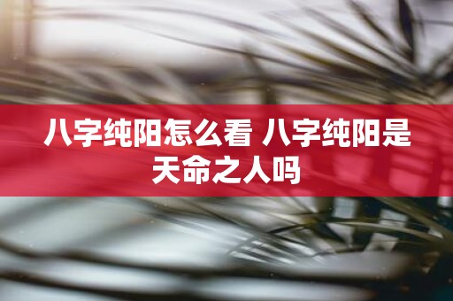 八字纯阳怎么看 八字纯阳是天命之人吗