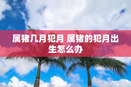 属猪几月犯月 属猪的犯月出生怎么办
